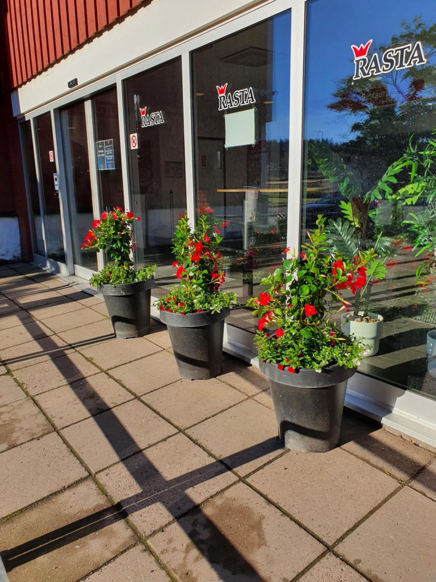 Rasta Grums Exterior photo